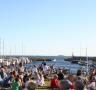Herring pic nic