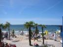 Tropical Beach.JPG
