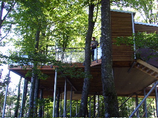 Tree House