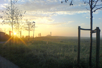 Svarte Photo länsstyrelsen