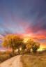 Fall sunrise