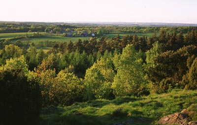 Romele cliff