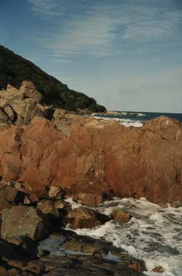 Beach Cliff Photo: Kullabergs Hästskjutsar B&B Beach Cliff Photo: Kullabergs Hästskjutsar B&B