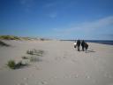 Sandhammaren by Jochr