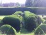 Boxwood Hedges at Vrams Gunnarstorp
