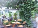 Eco Café