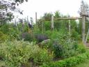 The Eco Garden