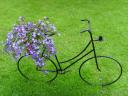 Cycling Flower Power
