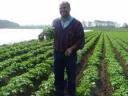 Potato Farmer Anders Hugosson