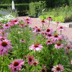 hovdala_gardens Hovdala Gardens