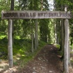 norra_kvills_national_park Photo Sara Bronner