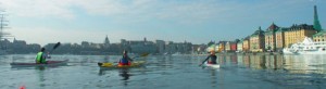 City Kayaking