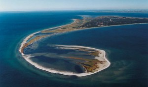 falsterbogk Falsterbo