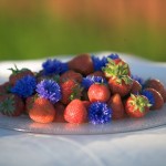 Henrik_Trygg_Strawberries Strawberries