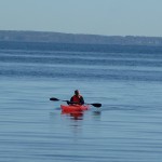 P1000440 Kayak outside Kullaberg, Nimis in Höganäs County
